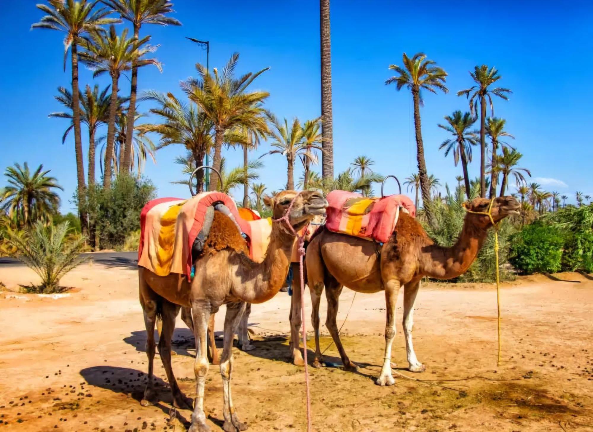 La Perle De L'Atlas By Golf Resort Marrakesh Exterior photo